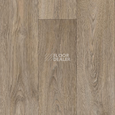 Линолеум IVC Bingo STOCKHOLM 538 фото 1 | FLOORDEALER